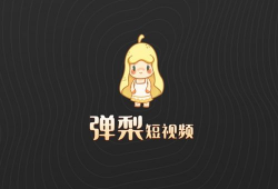 弹梨短视频,揭秘弹幕文化的魅力与影响